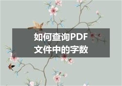 如何查询PDF文件中的字数