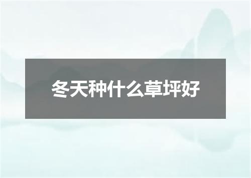 冬天种什么草坪好