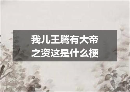 我儿王腾有大帝之资这是什么梗