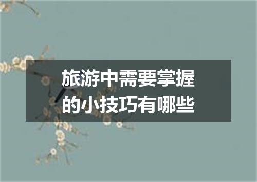旅游中需要掌握的小技巧有哪些