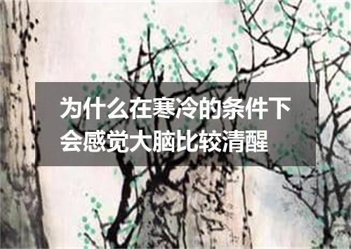 为什么在寒冷的条件下会感觉大脑比较清醒