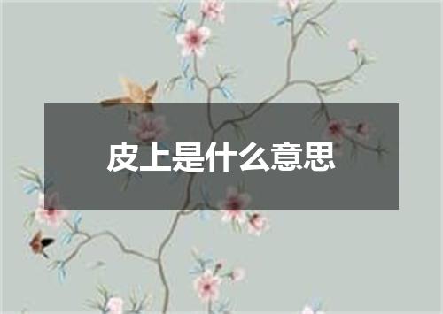 皮上是什么意思