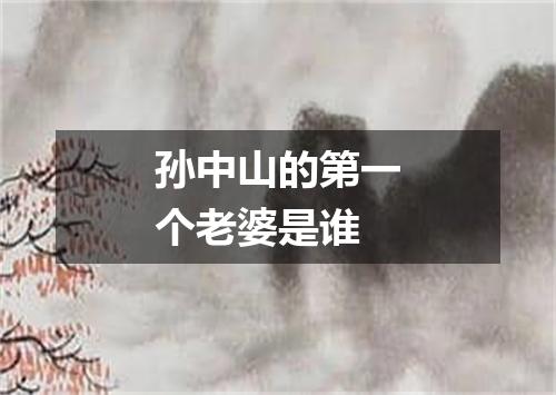 孙中山的第一个老婆是谁