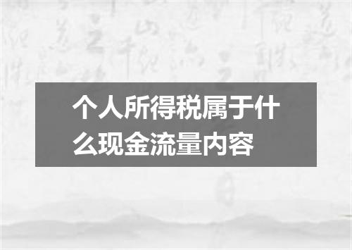 个人所得税属于什么现金流量内容