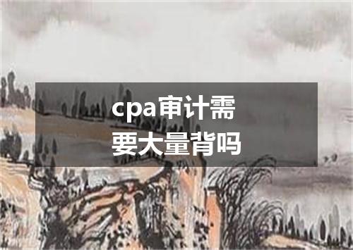 cpa审计需要大量背吗