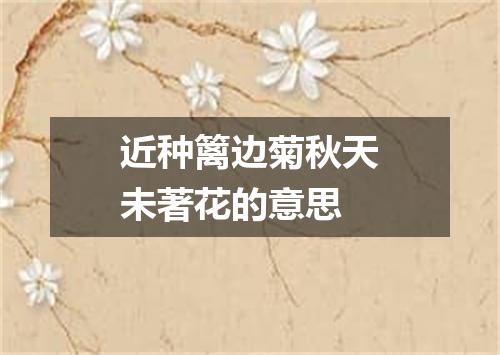 近种篱边菊秋天未著花的意思