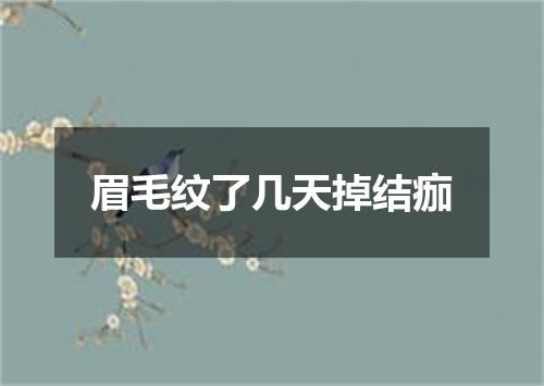 眉毛纹了几天掉结痂