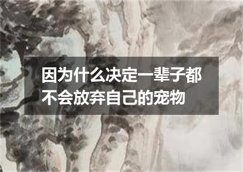 因为什么决定一辈子都不会放弃自己的宠物