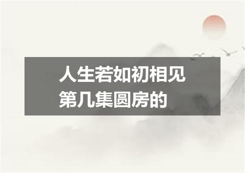 人生若如初相见第几集圆房的