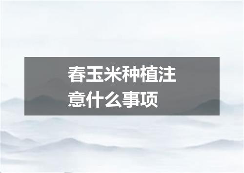 春玉米种植注意什么事项