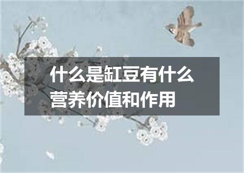 什么是缸豆有什么营养价值和作用