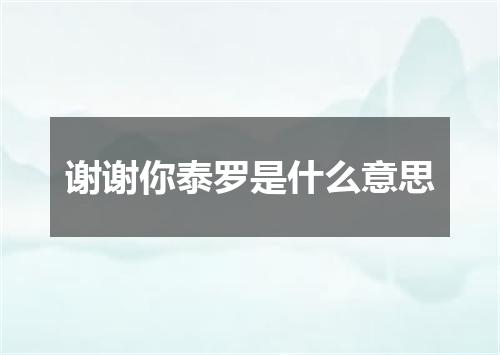 谢谢你泰罗是什么意思
