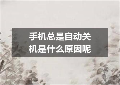 手机总是自动关机是什么原因呢