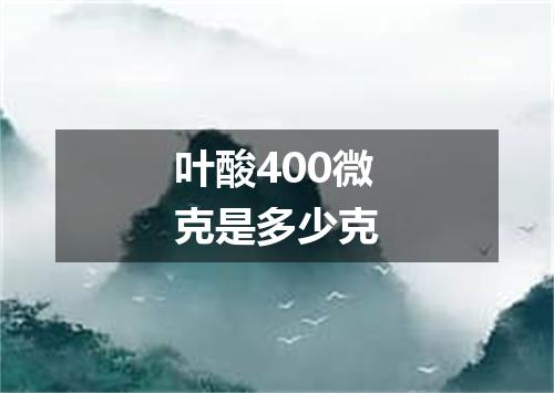 叶酸400微克是多少克