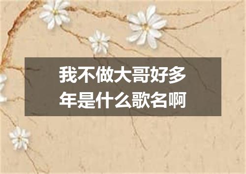 我不做大哥好多年是什么歌名啊