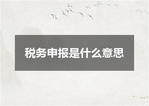 税务申报是什么意思