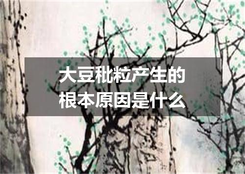 大豆秕粒产生的根本原因是什么