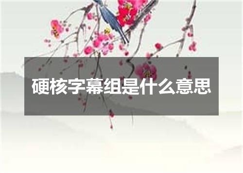 硬核字幕组是什么意思