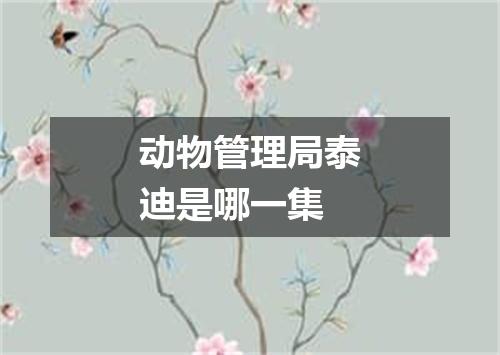 动物管理局泰迪是哪一集