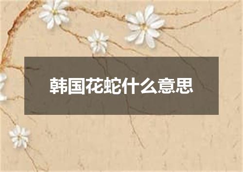 韩国花蛇什么意思