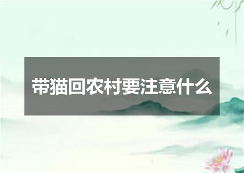 带猫回农村要注意什么