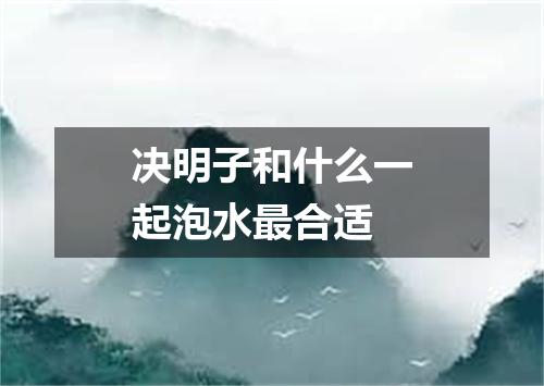 决明子和什么一起泡水最合适