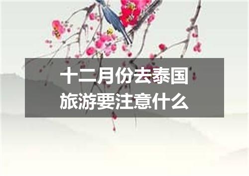 十二月份去泰国旅游要注意什么