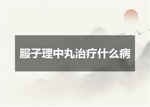 服子理中丸治疗什么病