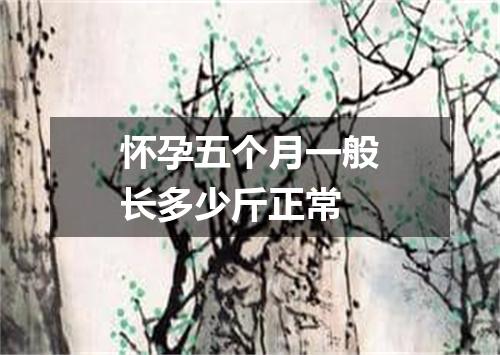 怀孕五个月一般长多少斤正常