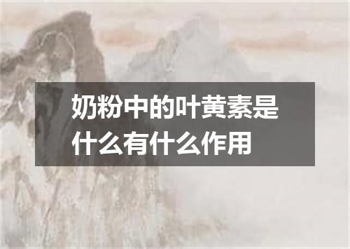 奶粉中的叶黄素是什么有什么作用