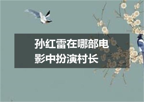 孙红雷在哪部电影中扮演村长