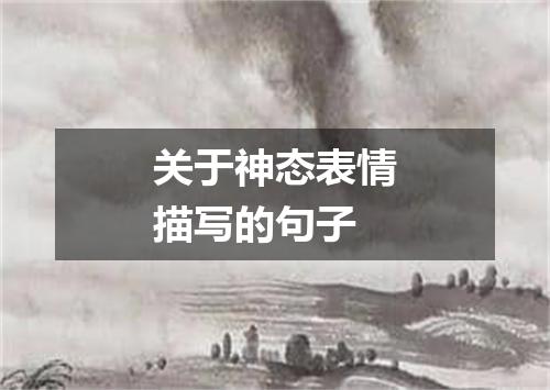 关于神态表情描写的句子