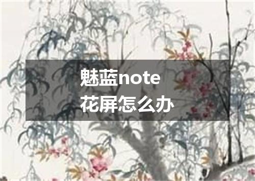 魅蓝note花屏怎么办