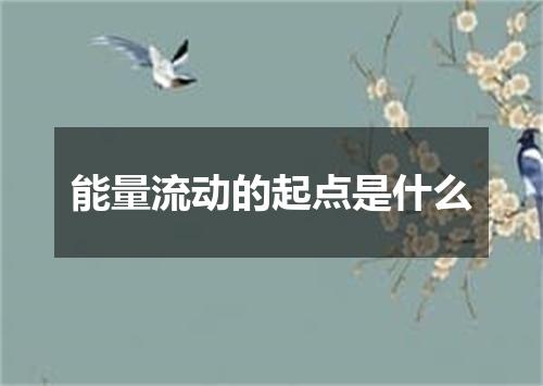 能量流动的起点是什么