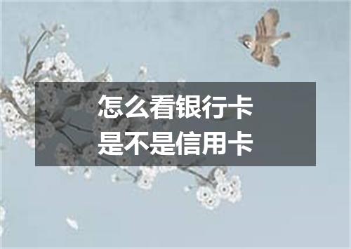 怎么看银行卡是不是信用卡