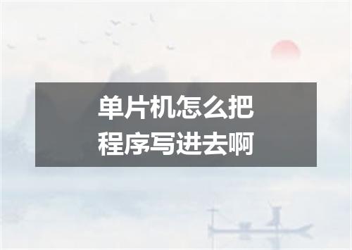 单片机怎么把程序写进去啊