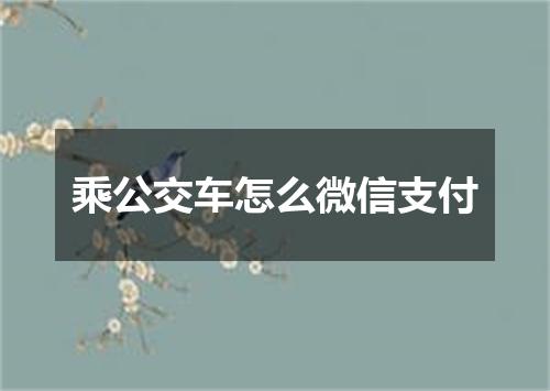 乘公交车怎么微信支付