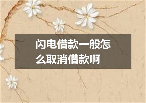 闪电借款一般怎么取消借款啊