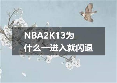 NBA2K13为什么一进入就闪退