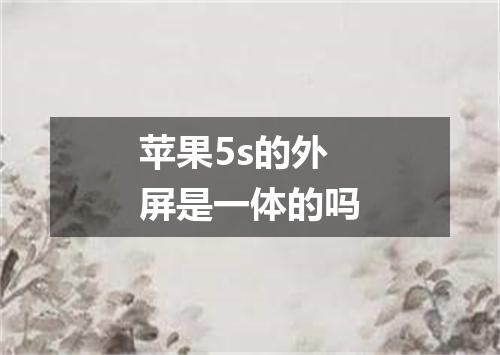 苹果5s的外屏是一体的吗