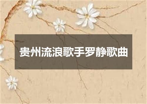 贵州流浪歌手罗静歌曲