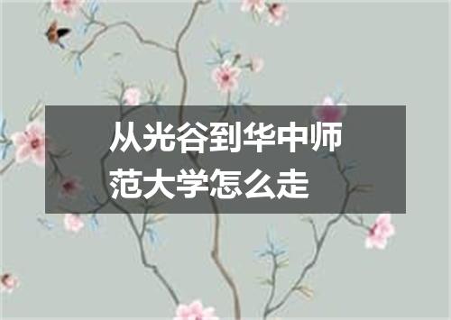 从光谷到华中师范大学怎么走