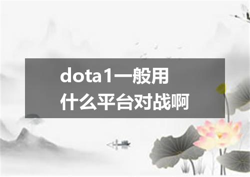dota1一般用什么平台对战啊