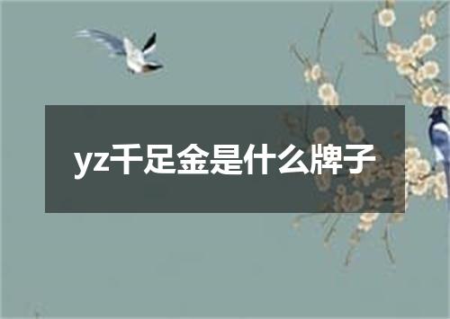 yz千足金是什么牌子