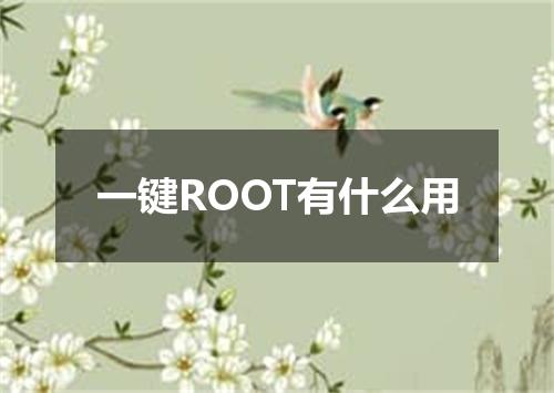 一键ROOT有什么用