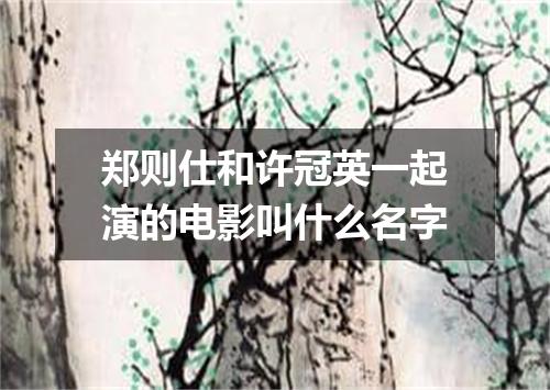 郑则仕和许冠英一起演的电影叫什么名字