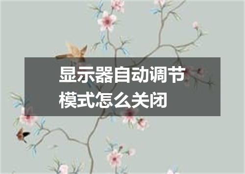 显示器自动调节模式怎么关闭