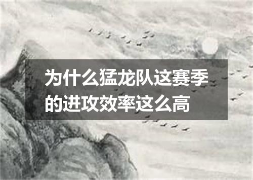 为什么猛龙队这赛季的进攻效率这么高