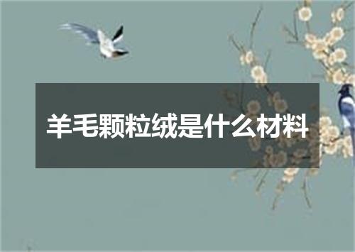 羊毛颗粒绒是什么材料