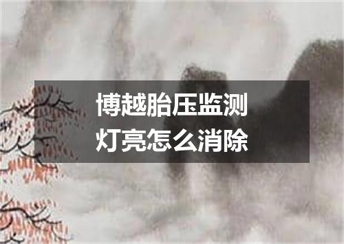 博越胎压监测灯亮怎么消除